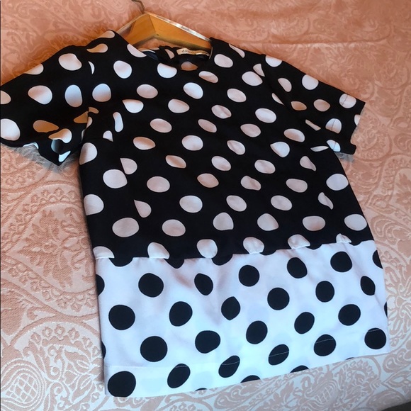 Daniel Rainn Polka Dot Short Sleeve Blouse EUC - Picture 14 of 14